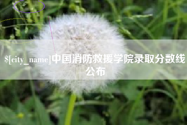 喀什中国消防救援学院录取分数线公布