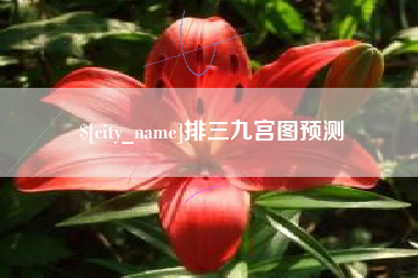 喀什排三九宫图预测