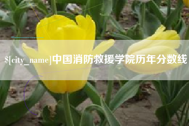 喀什中国消防救援学院历年分数线