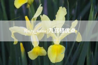 喀什九宫格优点