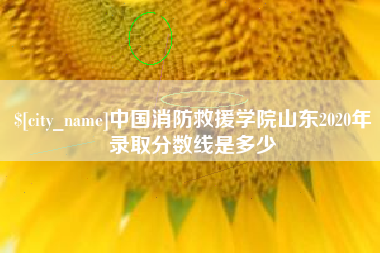 喀什中国消防救援学院山东2020年录取分数线是多少