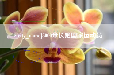 喀什5000米长跑国家运动员