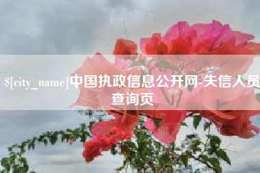 喀什中国执政信息公开网-失信人员查询页