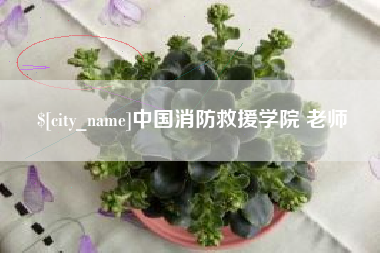喀什中国消防救援学院 老师