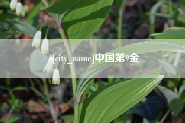喀什中国第9金