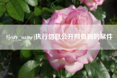 喀什执行信息公开网查到的案件