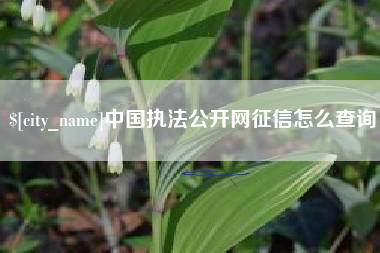 喀什中国执法公开网征信怎么查询