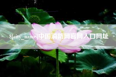 喀什中国消防网官网入口网址