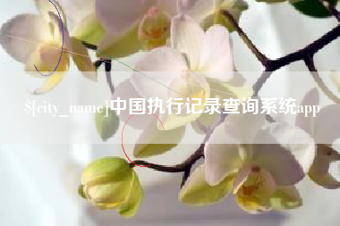 喀什中国执行记录查询系统app