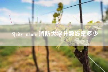 喀什消防大学分数线是多少