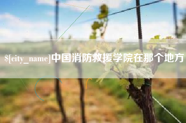 喀什中国消防救援学院在那个地方