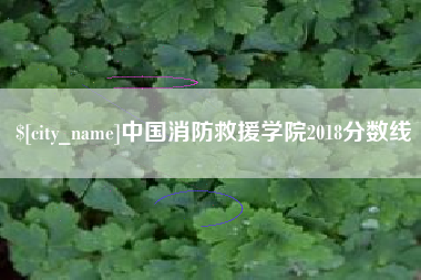 喀什中国消防救援学院2018分数线