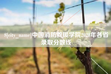 喀什中国消防救援学院2020年各省录取分数线