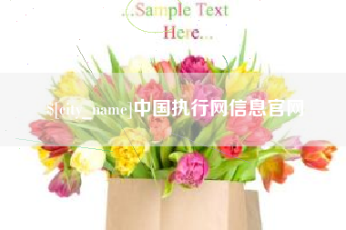 喀什中国执行网信息官网