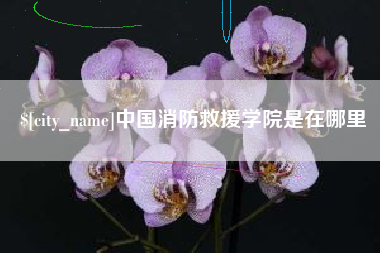喀什中国消防救援学院是在哪里