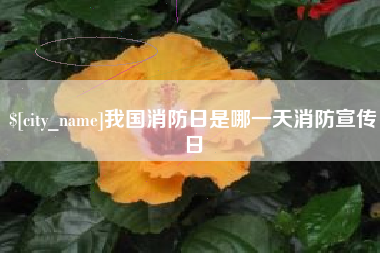 喀什我国消防日是哪一天消防宣传日