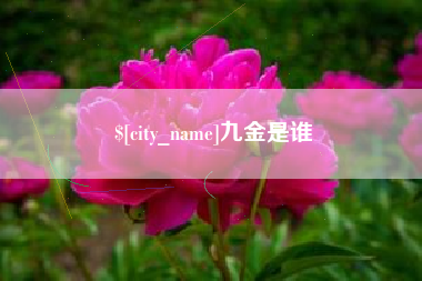 喀什九金是谁