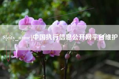 喀什中国执行信息公开网平台维护