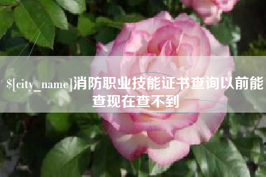 喀什消防职业技能证书查询以前能查现在查不到