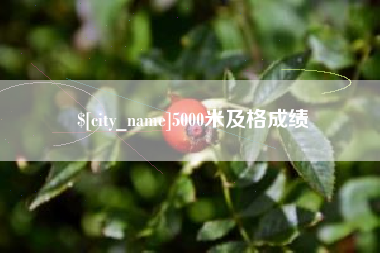 喀什5000米及格成绩