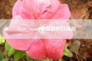 喀什全国消防日海报