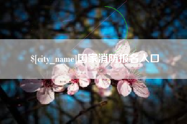 喀什国家消防报名入口