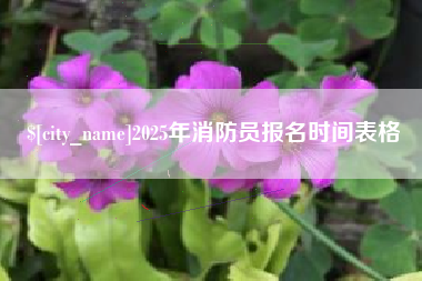 喀什2025年消防员报名时间表格