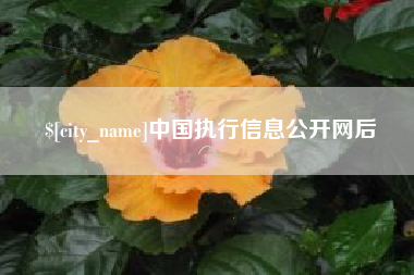 喀什中国执行信息公开网后