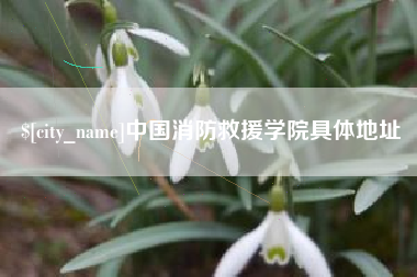 喀什中国消防救援学院具体地址