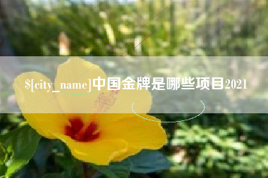 喀什中国金牌是哪些项目2021