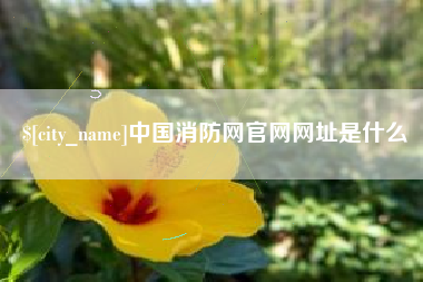喀什中国消防网官网网址是什么