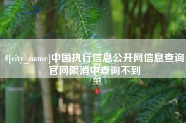 喀什中国执行信息公开网信息查询官网限消中查询不到