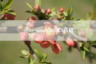 喀什2021年9宫格