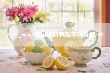 喀什中国消防救援学院分数2020