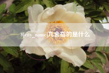 喀什九金指的是什么