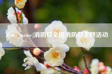 喀什消防日全国消防日主题活动