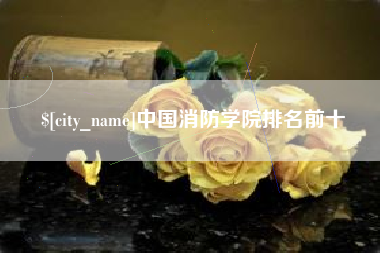 喀什中国消防学院排名前十