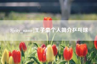 喀什王子豪个人简介乒乓球