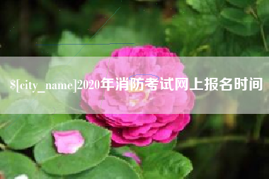 喀什2020年消防考试网上报名时间