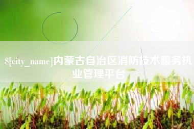 喀什内蒙古自治区消防技术服务执业管理平台