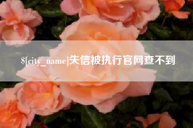 喀什失信被执行官网查不到