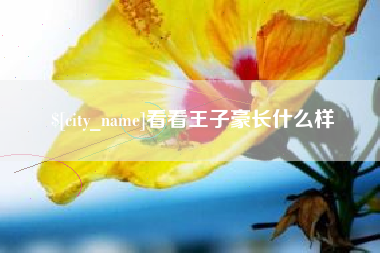 喀什看看王子豪长什么样