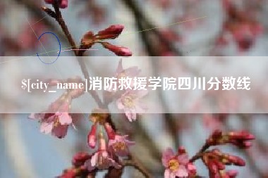 喀什消防救援学院四川分数线