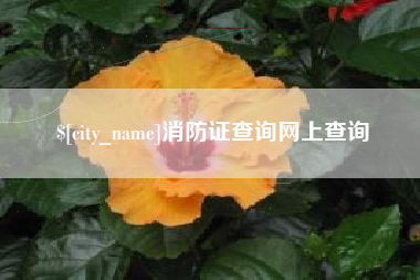 喀什消防证查询网上查询