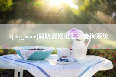 喀什消防资格证怎么查询系统