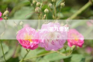 喀什第九金是