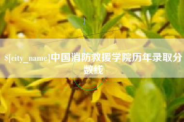 喀什中国消防救援学院历年录取分数线