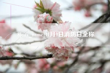 喀什11月9日消防日全称