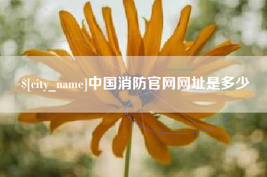 喀什中国消防官网网址是多少
