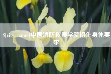 喀什中国消防救援学院招生身体要求